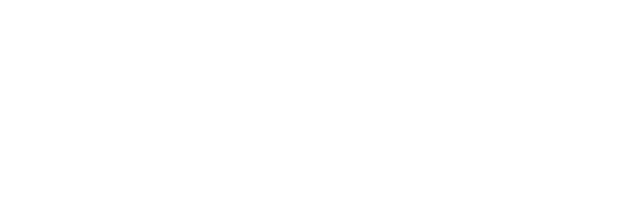 Logo_white